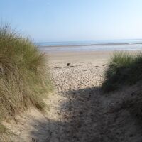 Embleton dog-friendly beach, Northumberland