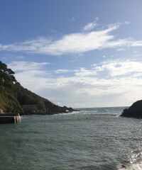 Polperro - dog walk, Cornwall