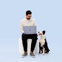Best dog breeds for the office.jpg