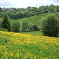 Ladderedge dog walk, Staffordshire - Dog walks in Staffordshire