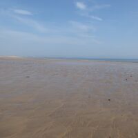 Embleton dog-friendly beach, Northumberland - Northumberland dog-friendly beach and dog walk