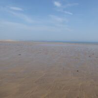 Embleton dog-friendly beach, Northumberland - Northumberland dog-friendly beach and dog walk