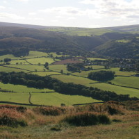 Allerford woods dog walk, Somerset - Dog walks in Somerset