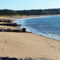 Porthcawl dog-friendly Beach, Wales - Dog walks in Wales
