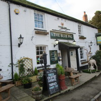 A5 north of Coventry dog-friendly pub and dog walk, Warwickshire