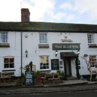 A5 north of Coventry dog-friendly pub and dog walk, Warwickshire - Dog walks in Warwickshire