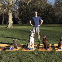 Wisdom Panel - Luke with all dog breeds.png